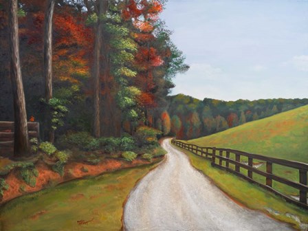 Country Road I by Tiffany Hakimipour art print