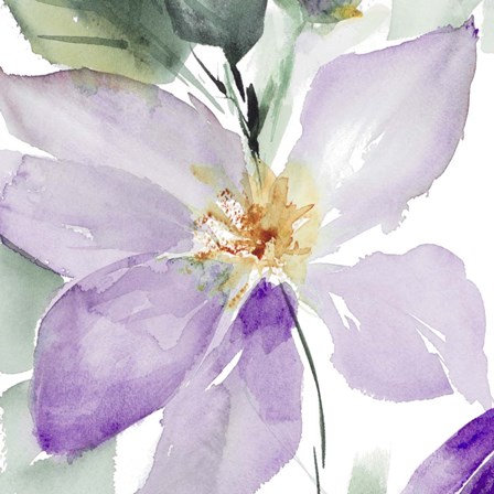 Clematis in Purple Shades I by Lanie Loreth art print