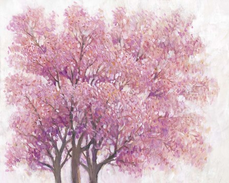 Pink Cherry Blossom Tree I by Timothy O&#39;Toole art print