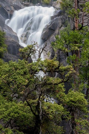 Spring Run-Off At Cascade Falls by Judith Zimmerman / DanitaDelimont art print