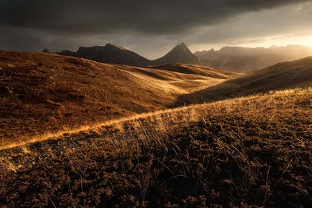 Last Autumn Light by Enrico Fossati art print