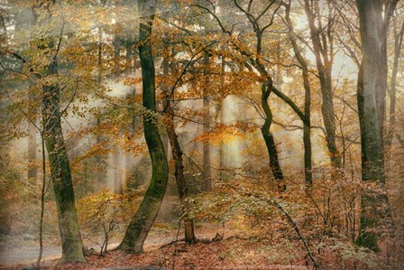 You Can&#39;t Hide Your Rays for Me by Lars Van De Goor art print