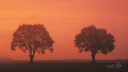 The Couple by Martin Podt art print