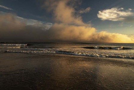 Sunrise On Ocean Shore 2, Cape May National Seashore, NJ by Jay O&#39;Brien / Jaynes Gallery / DanitaDelimont art print