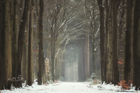 Winer Alley by Martin Podt art print