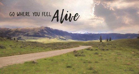 Go Where You Feel Alive by Lori Deiter art print