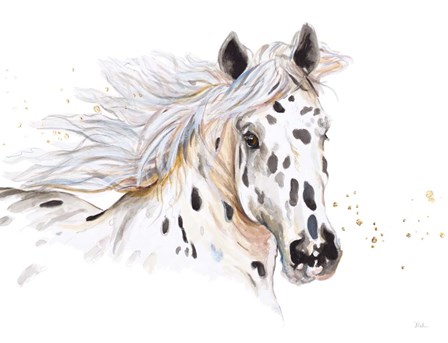 Appaloosa by Patricia Pinto art print