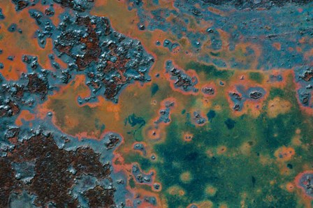 Details Of Rust And Paint On Metal 17 by Zandria Muench Beraldo / Danita Delimont art print