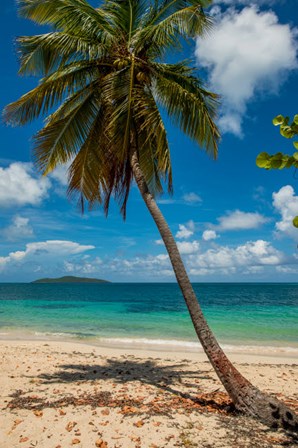 Cramer Park Beach, St Croix, US Virgin Islands by Michael DeFreitas / Danita Delimont art print