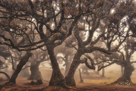 The Hidden Truth by Martin Podt art print