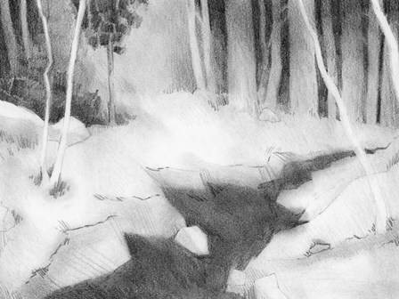 Graphite Glade II by Jacob Green art print