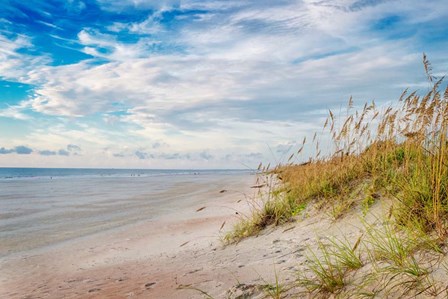 Afternoon Breeze by Andy Amos art print