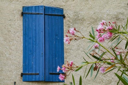 Window Of Manosque Home In Provence by Michele Niles / DanitaDelimont art print