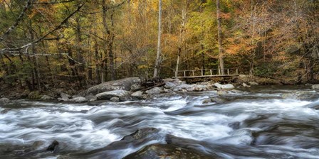 The Foot Bridge by Danny Head art print