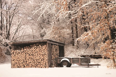 Firewood Shed by Lori Deiter art print