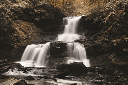 Golden Waterfall II by Lori Deiter art print