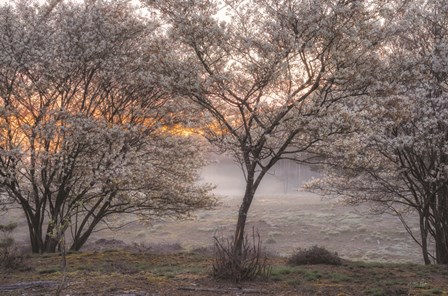 Spring Bushes by Martin Podt art print