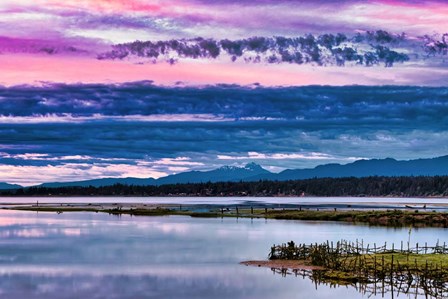 K&#39;omoks Harbour Fish Traps by Chuck Burdick art print