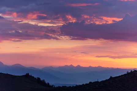 Mammoth And Ancient Bristlecone by Jeff Poe Photography art print