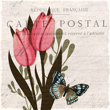 Tulip Postcard 1 by Kimberly Allen art print
