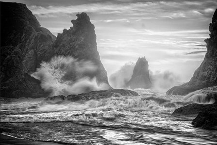 Bandon Fury Monochrome by Rick Berk art print