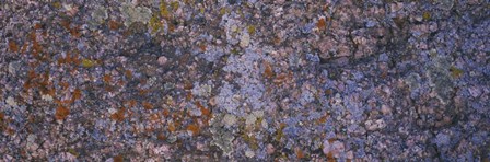 Feldspar granite, Sherman Mountains, Wyoming by Panoramic Images art print