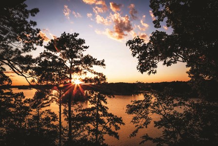 Saluda Bluff Sunset by Jennifer Rigsby art print