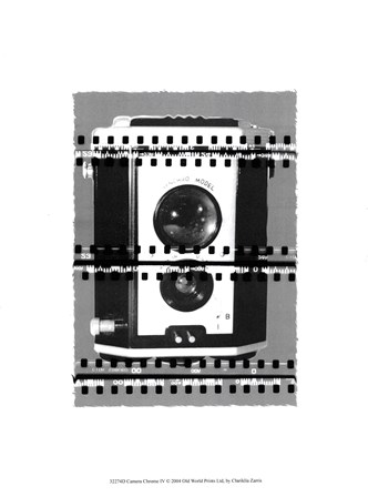 Camera Chrome IV by Chariklia Zarris art print