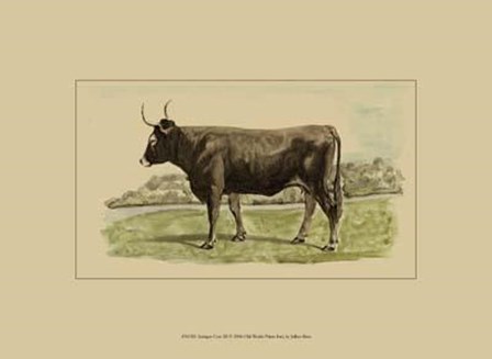 Antique Cow III by Julian Bien art print