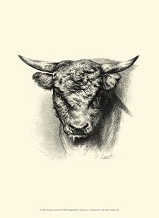 Antique Cattle III by F Lehnert art print