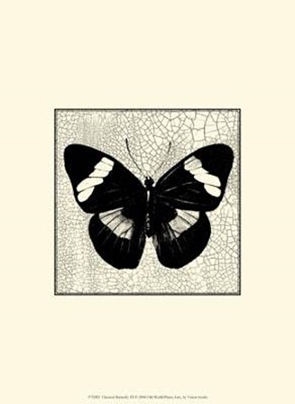 Classical Butterfly III by Vision Studio art print