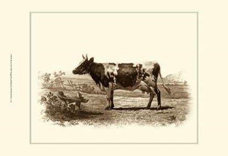 Bovine II by Emile Van marck art print