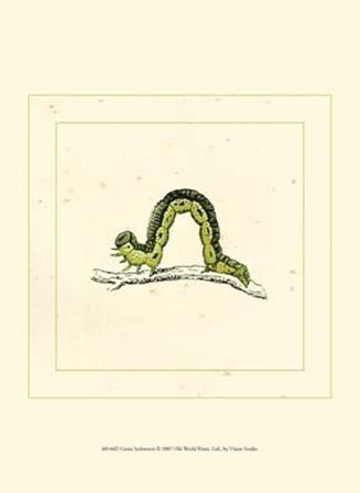 Green Inchworm art print