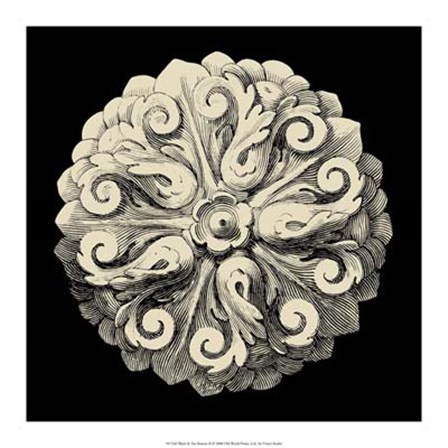 Black and Tan Rosette II by Vision Studio art print