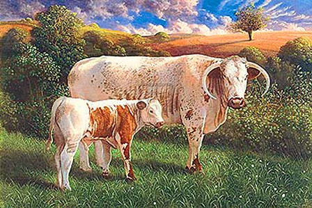 Longhorn Cow And Calf by James Lynch art print