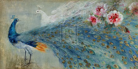 Peacocks by Mei art print