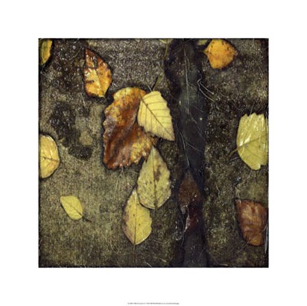 Wet Pavement I by Jennifer Goldberger art print