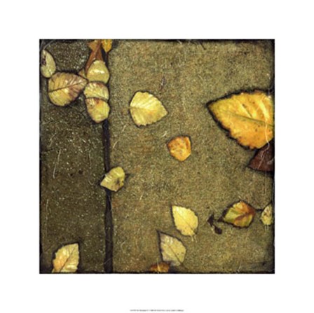 Wet Pavement IV by Jennifer Goldberger art print