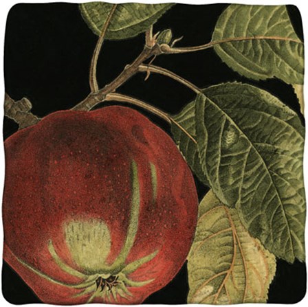 Dramatic Apple by Vision Studio art print