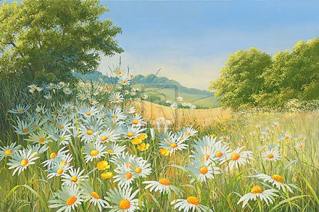 Mostly Daisies by M. Dipnall art print