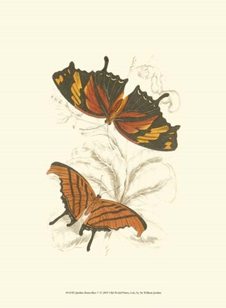 Butterflies V by Sir William Jardine art print