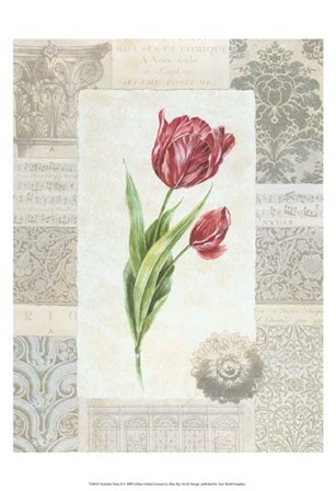 Victorian Tulip II by Gillian Fullard art print