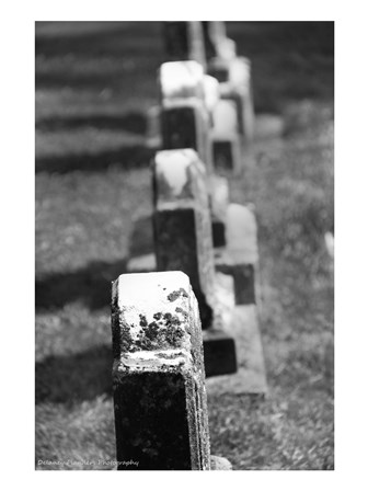 Rows of Stone by Delaney Flanders art print