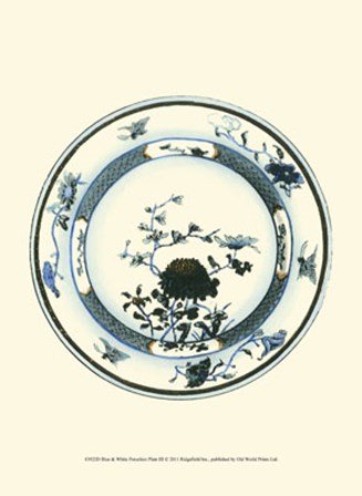 Blue &amp; White Porcelain Plate III art print