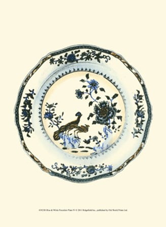 Blue &amp; White Porcelain Plate IV art print