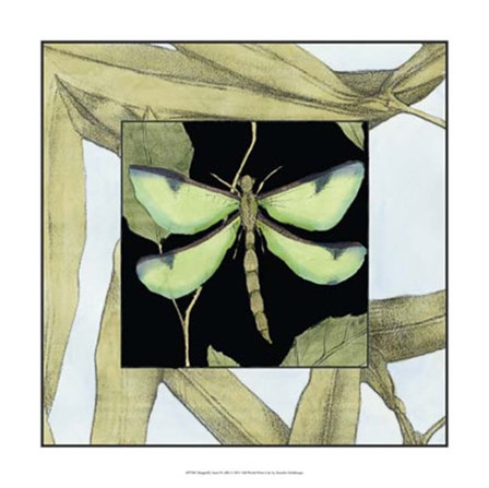 Dragonfly Inset IV by Jennifer Goldberger art print