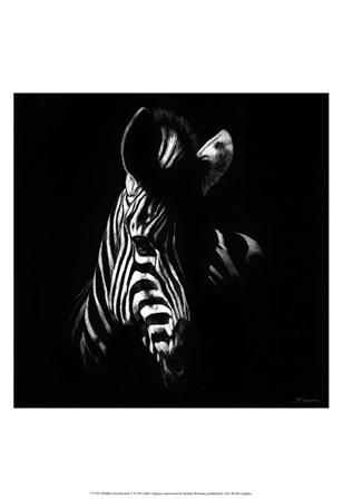 Wildlife Scratchboards V by Julie Chapman art print
