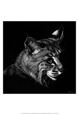 Wildlife Scratchboards IX by Julie Chapman art print