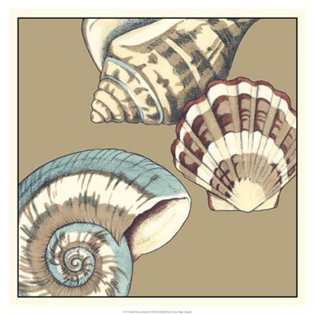 Shell Trio on Khaki II by Megan Meagher art print