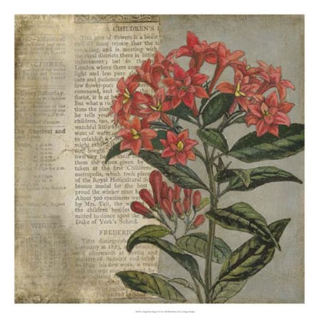 Vintage Fleur Rouge II by Megan Meagher art print